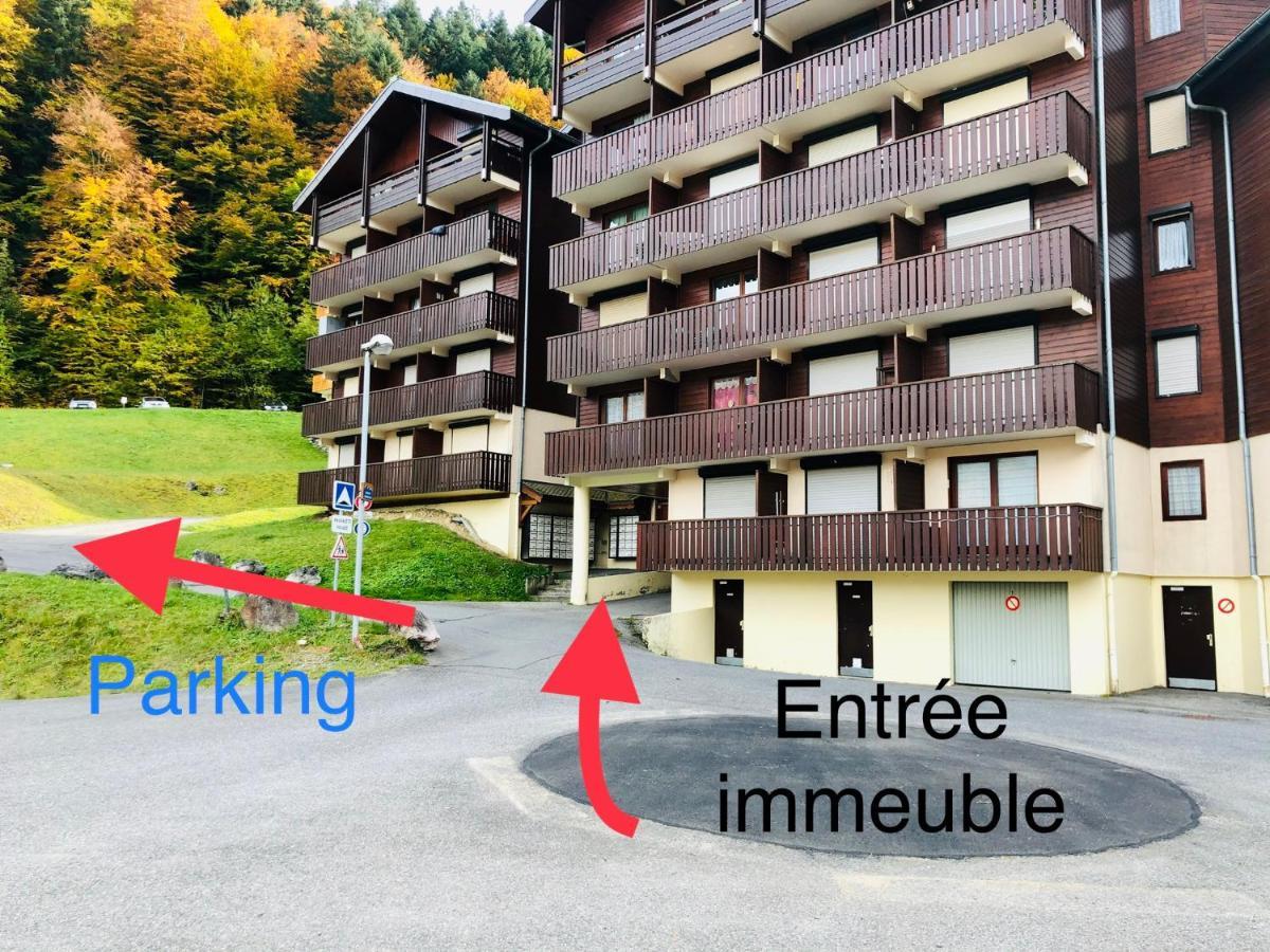 Studio 4 Personnes A 80M Des Pistes De Ski Saint-Jean-dʼAulps エクステリア 写真